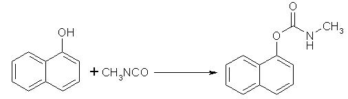 naphtol-1 and methyl isocyanate