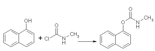 naphtol-1 and methylcarbamoyl chloride